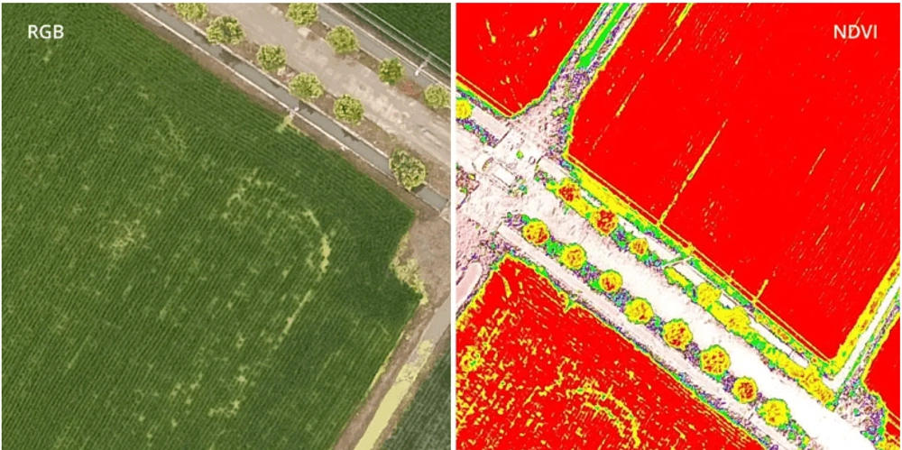 Беспилотник DJI Phantom 4 Multispectral